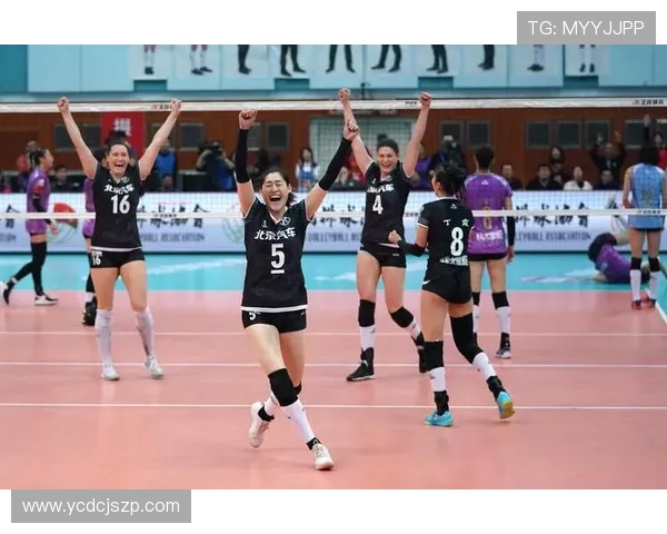 北京排球队的奋斗历程与荣耀时刻全景纪实