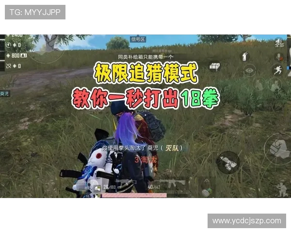 和平精英专题深度解析IG战队的战术节奏与团队协作技巧